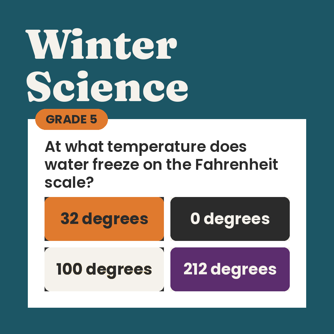 Winter Science Quiz Game: Snow, Ice and Animals, Grade 5